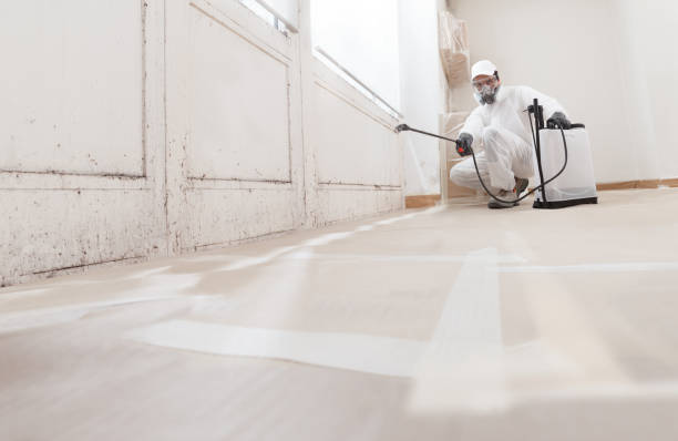 24/7 Emergency Mold Inspection experts in East Rutherford, NJ