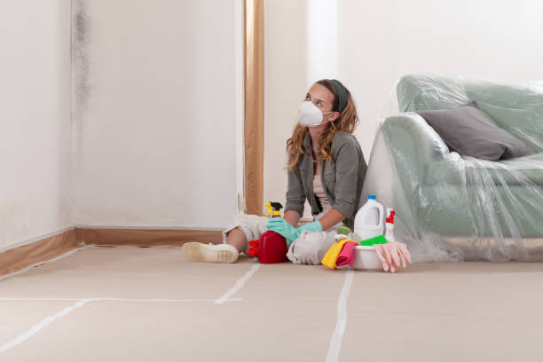 Reliable Mold Inspection contractor in East Rutherford, NJ by WQB Mold Removal